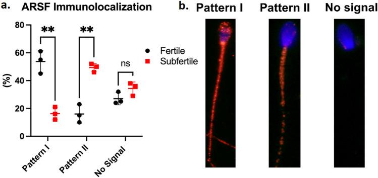 https://cdn.ncbi.nlm.nih.gov/pmc/blobs/cf0e/11139894/3ae0fc6cfee1/41598_2024_63410_Fig6_HTML.jpg