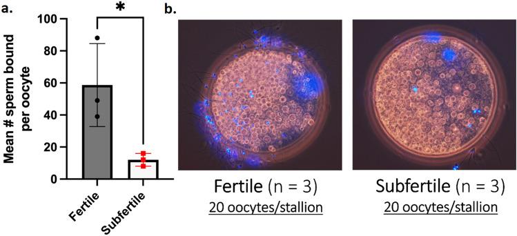 https://cdn.ncbi.nlm.nih.gov/pmc/blobs/cf0e/11139894/8c1870264c41/41598_2024_63410_Fig7_HTML.jpg