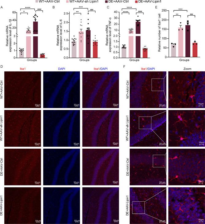 https://cdn.ncbi.nlm.nih.gov/pmc/blobs/cf0e/12008933/101859bc9a33/12974_2025_3441_Fig7_HTML.jpg