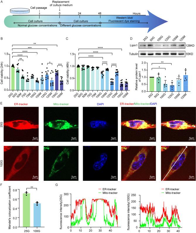 https://cdn.ncbi.nlm.nih.gov/pmc/blobs/cf0e/12008933/14b4f2f86e42/12974_2025_3441_Fig3_HTML.jpg