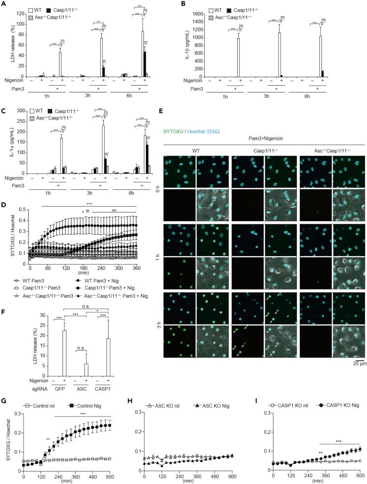 https://cdn.ncbi.nlm.nih.gov/pmc/blobs/cf0f/7200307/9a8a4d9dd01f/gr1.jpg