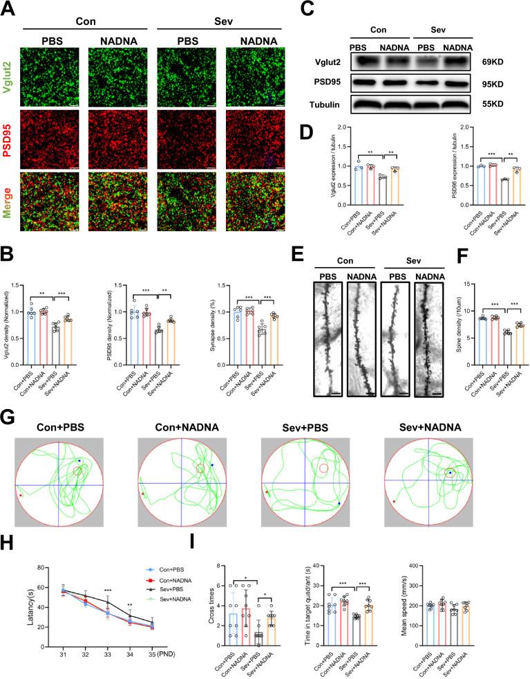 https://cdn.ncbi.nlm.nih.gov/pmc/blobs/cf10/10983687/5a214ec5e6f8/13578_2024_1223_Fig6_HTML.jpg