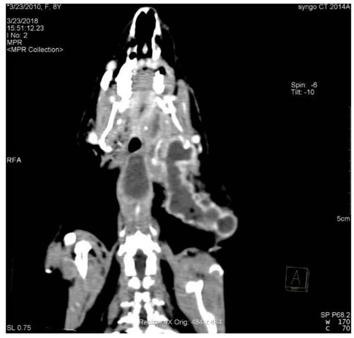 https://cdn.ncbi.nlm.nih.gov/pmc/blobs/cf10/11047664/cae959ef37d2/animals-14-01160-g003.jpg