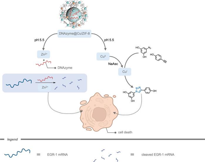 https://cdn.ncbi.nlm.nih.gov/pmc/blobs/cf10/12355711/03069caba0f2/cr5c00047_0030.jpg