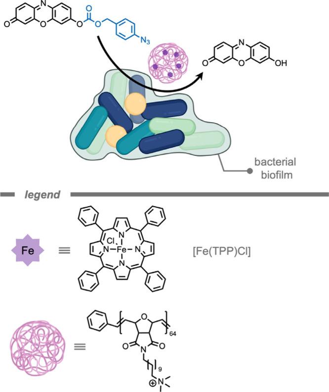 https://cdn.ncbi.nlm.nih.gov/pmc/blobs/cf10/12355711/368d999275fd/cr5c00047_0007.jpg