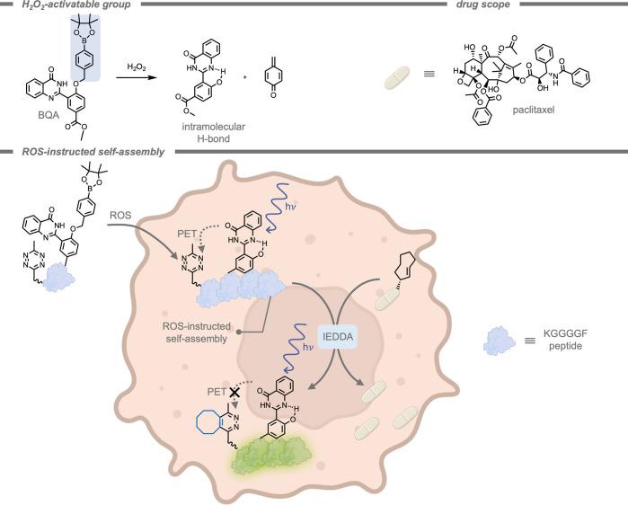 https://cdn.ncbi.nlm.nih.gov/pmc/blobs/cf10/12355711/4e7725dc08fa/cr5c00047_0027.jpg
