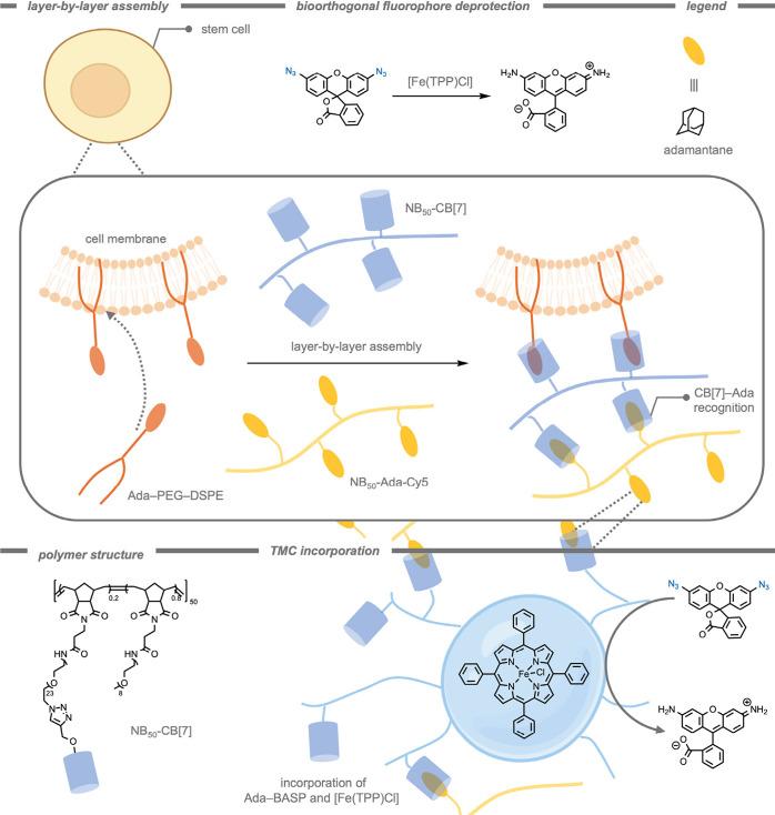 https://cdn.ncbi.nlm.nih.gov/pmc/blobs/cf10/12355711/54dfceeb60c4/cr5c00047_0018.jpg