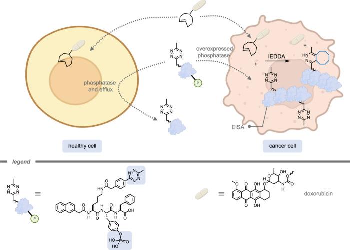 https://cdn.ncbi.nlm.nih.gov/pmc/blobs/cf10/12355711/637a1876ec1c/cr5c00047_0024.jpg