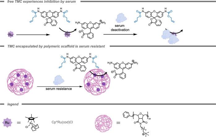 https://cdn.ncbi.nlm.nih.gov/pmc/blobs/cf10/12355711/affdac94b69e/cr5c00047_0008.jpg
