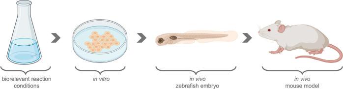 https://cdn.ncbi.nlm.nih.gov/pmc/blobs/cf10/12355711/b2386998f49d/cr5c00047_0004.jpg