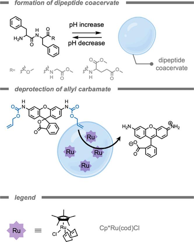 https://cdn.ncbi.nlm.nih.gov/pmc/blobs/cf10/12355711/b80c8754d748/cr5c00047_0012.jpg