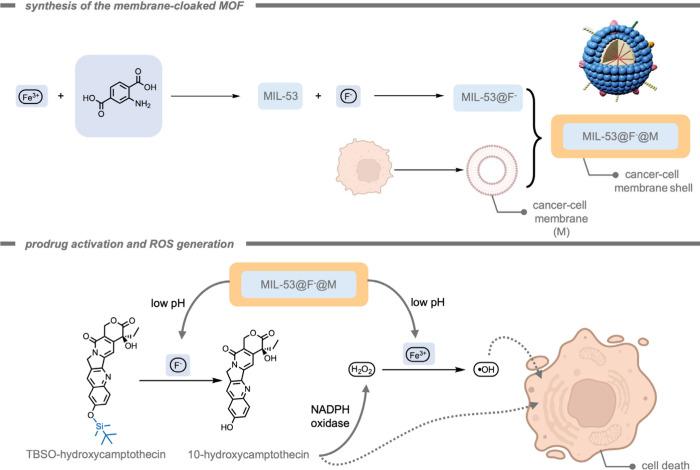 https://cdn.ncbi.nlm.nih.gov/pmc/blobs/cf10/12355711/be5546574f7b/cr5c00047_0033.jpg