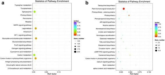 https://cdn.ncbi.nlm.nih.gov/pmc/blobs/cf11/5863459/fe94efaeb036/12864_2018_4595_Fig5_HTML.jpg
