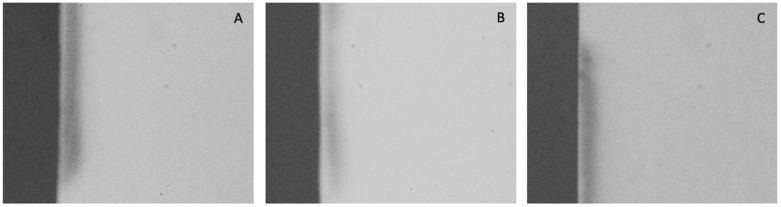 https://cdn.ncbi.nlm.nih.gov/pmc/blobs/cf12/11765685/d6ac1c4f6703/jfb-16-00006-g001.jpg