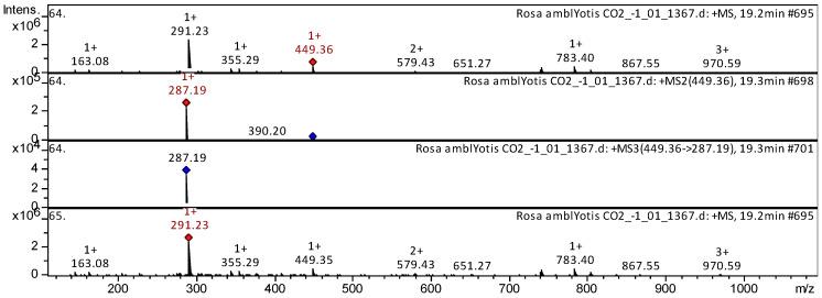 https://cdn.ncbi.nlm.nih.gov/pmc/blobs/cf13/11723076/744fa8508565/plants-14-00059-g005.jpg
