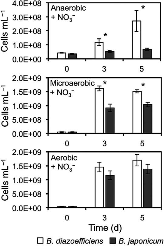 https://cdn.ncbi.nlm.nih.gov/pmc/blobs/cf13/7511789/369ebbadefd8/35_19129-g002.jpg