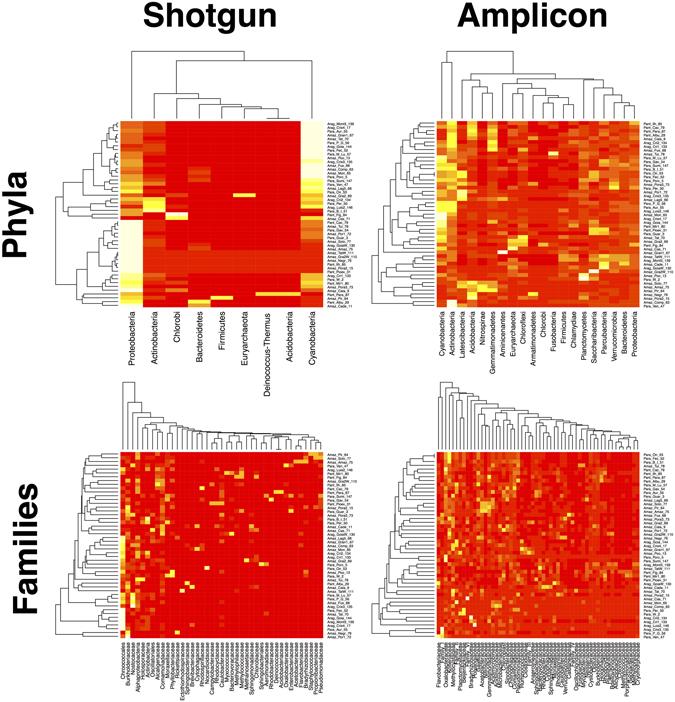 https://cdn.ncbi.nlm.nih.gov/pmc/blobs/cf14/5537354/320cafcb561e/41598_2017_6665_Fig4_HTML.jpg