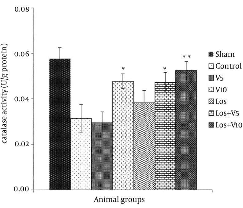 https://cdn.ncbi.nlm.nih.gov/pmc/blobs/cf18/4166089/9158b75fda52/ircmj-16-16664-i006.jpg