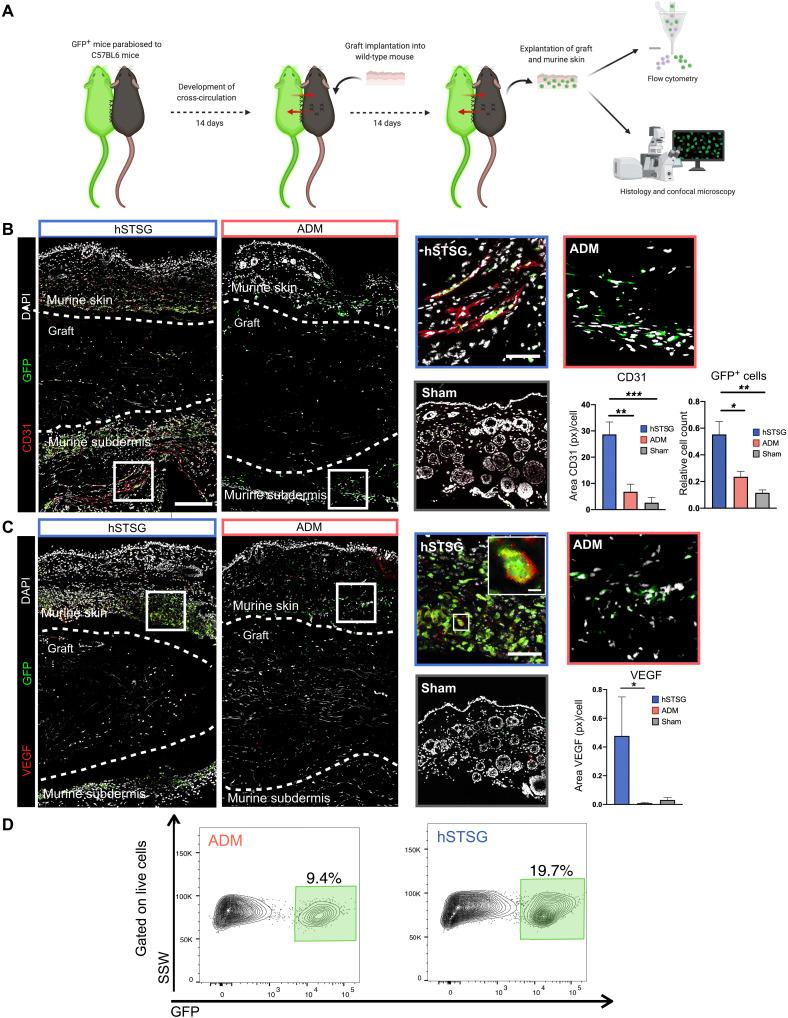 https://cdn.ncbi.nlm.nih.gov/pmc/blobs/cf1b/8635426/40568e231bb0/sciadv.abi4528-f2.jpg