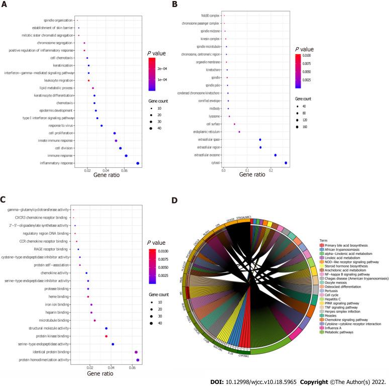 https://cdn.ncbi.nlm.nih.gov/pmc/blobs/cf1d/9254198/e9d48e30bbd3/WJCC-10-5965-g003.jpg