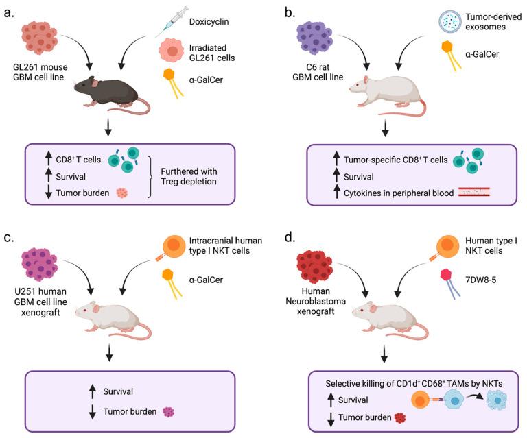 https://cdn.ncbi.nlm.nih.gov/pmc/blobs/cf1e/8307781/f4251846a0ce/cells-10-01641-g003.jpg