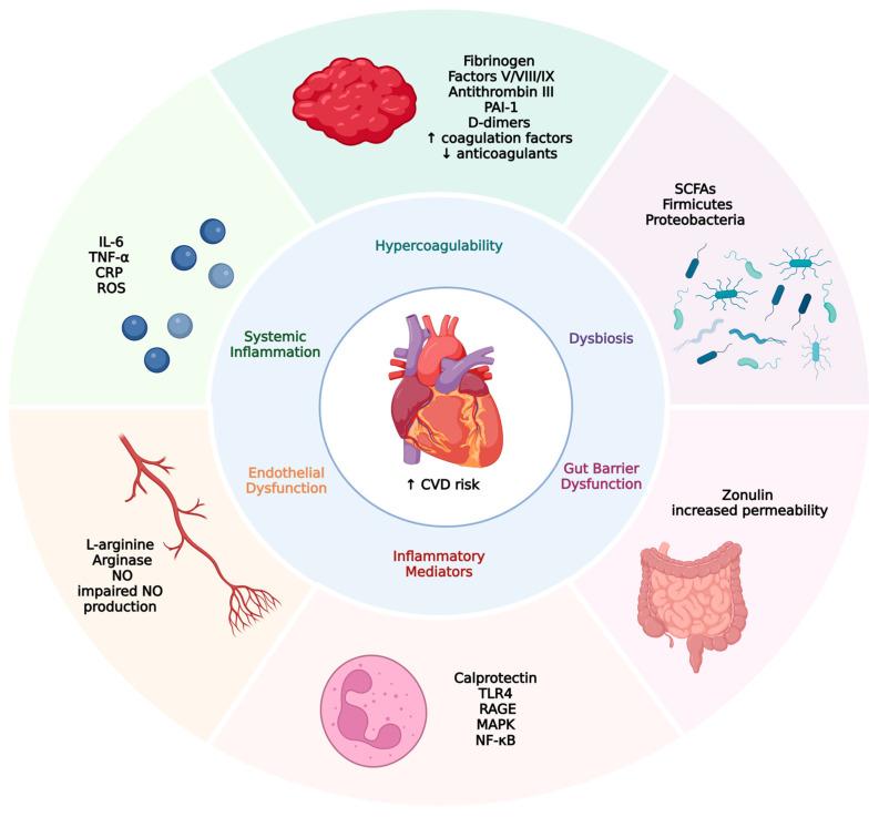 https://cdn.ncbi.nlm.nih.gov/pmc/blobs/cf1f/12383818/98fd3a6e6a3d/biomedicines-13-01864-g001.jpg