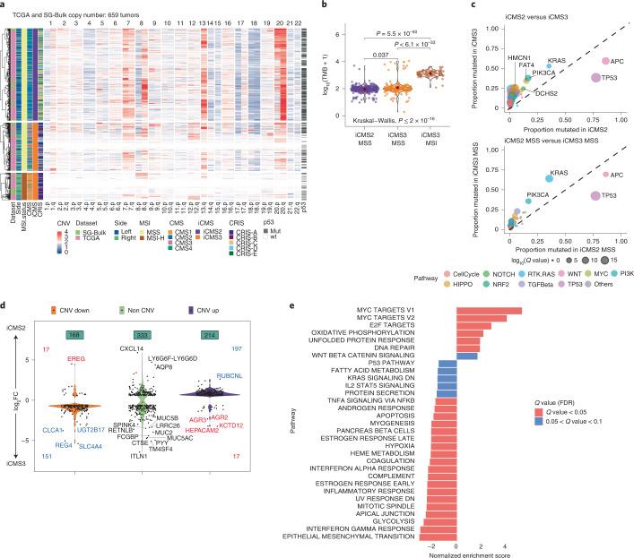 https://cdn.ncbi.nlm.nih.gov/pmc/blobs/cf20/9279158/7083daffd429/41588_2022_1100_Fig4_HTML.jpg