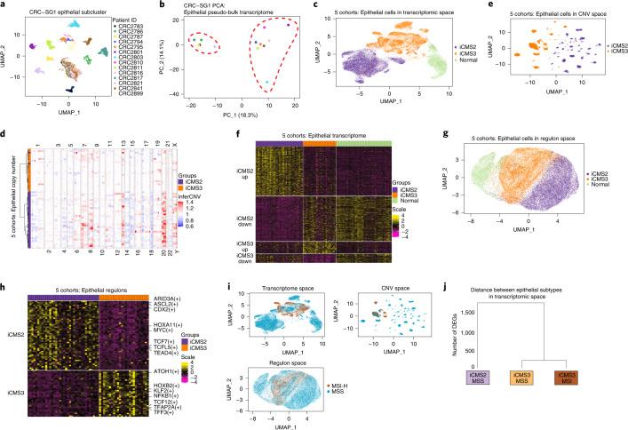 https://cdn.ncbi.nlm.nih.gov/pmc/blobs/cf20/9279158/819d8f30b4a1/41588_2022_1100_Fig2_HTML.jpg