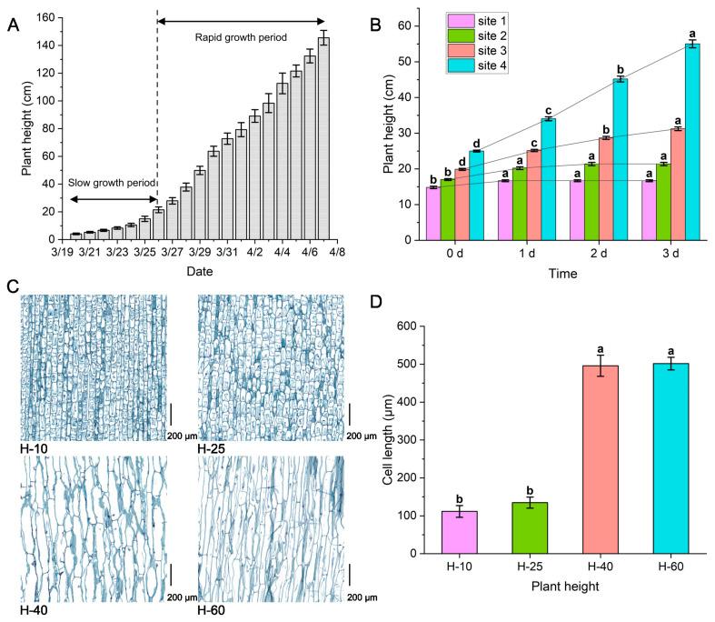 https://cdn.ncbi.nlm.nih.gov/pmc/blobs/cf23/11186092/305b923adbb7/12870_2024_5277_Fig1_HTML.jpg