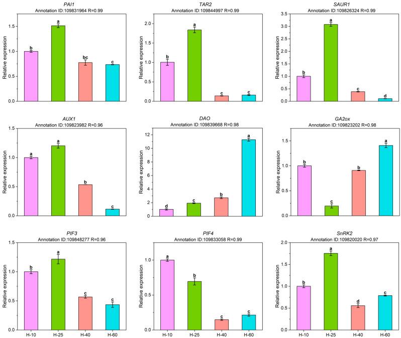 https://cdn.ncbi.nlm.nih.gov/pmc/blobs/cf23/11186092/8d775e36f8e7/12870_2024_5277_Fig7_HTML.jpg