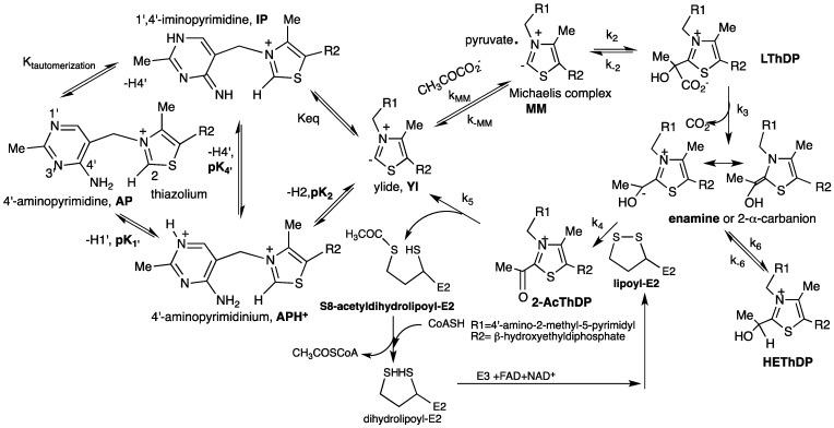 https://cdn.ncbi.nlm.nih.gov/pmc/blobs/cf23/6270654/207025132ea2/molecules-18-11873-g013.jpg