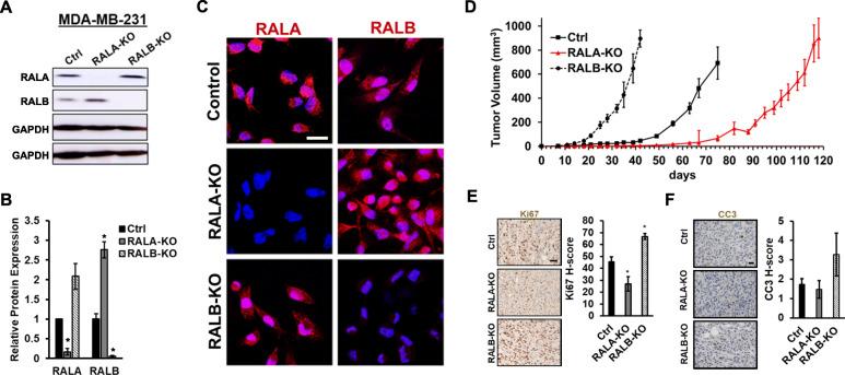 https://cdn.ncbi.nlm.nih.gov/pmc/blobs/cf23/8196523/725e9cfdf475/13058_2021_1438_Fig1_HTML.jpg