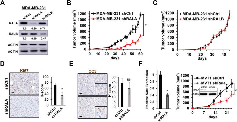 https://cdn.ncbi.nlm.nih.gov/pmc/blobs/cf23/8196523/beedad81fff7/13058_2021_1438_Fig2_HTML.jpg