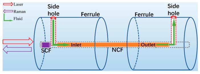 https://cdn.ncbi.nlm.nih.gov/pmc/blobs/cf25/8615756/08762c431c8a/biosensors-11-00430-g002.jpg