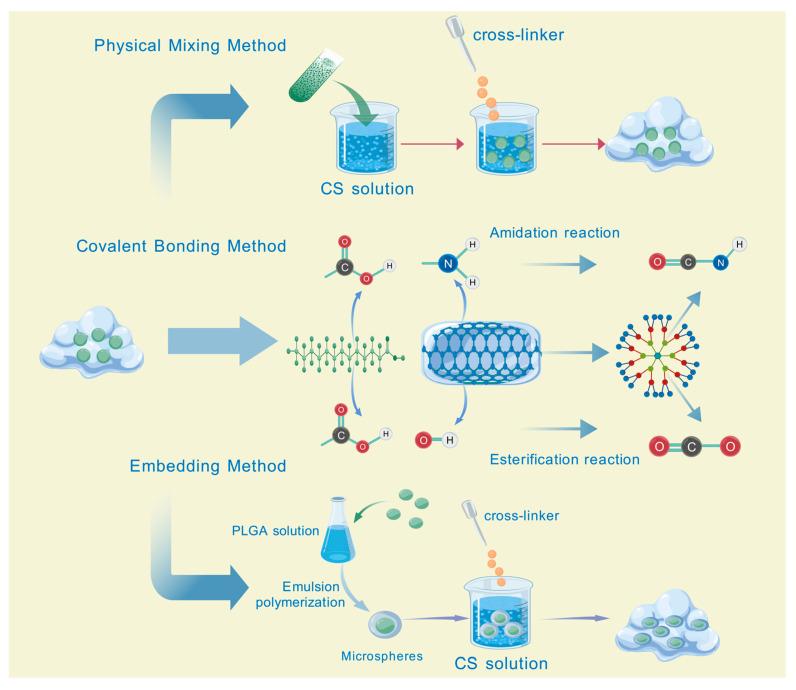 https://cdn.ncbi.nlm.nih.gov/pmc/blobs/cf26/12030446/f84dc6d2216d/pharmaceutics-17-00514-g002.jpg