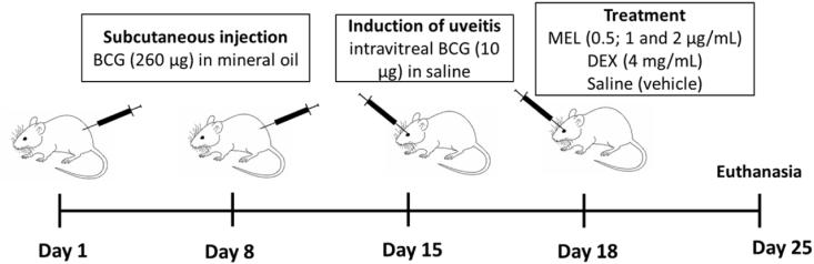 https://cdn.ncbi.nlm.nih.gov/pmc/blobs/cf26/9130091/7c9c170ede2a/gr1.jpg
