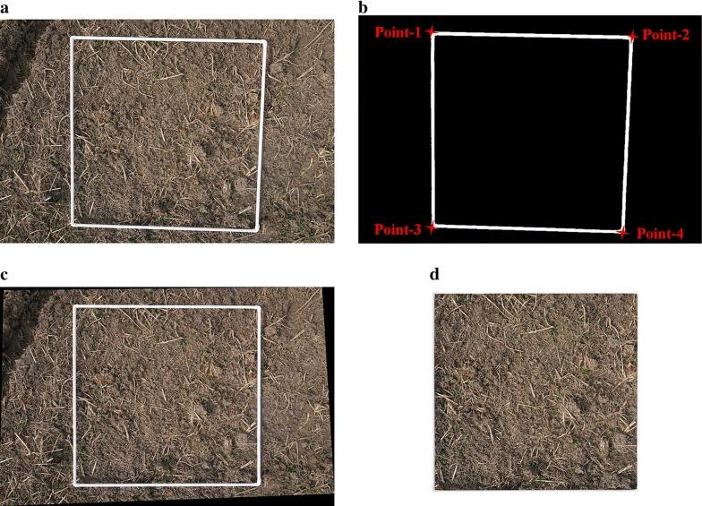 https://cdn.ncbi.nlm.nih.gov/pmc/blobs/cf28/6238276/4c96de139e4c/13007_2018_369_Fig2_HTML.jpg