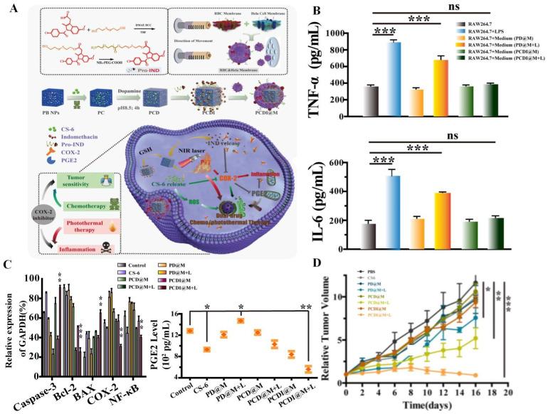 https://cdn.ncbi.nlm.nih.gov/pmc/blobs/cf2a/10367560/d05cbd628e93/ijbsv19p3499g006.jpg