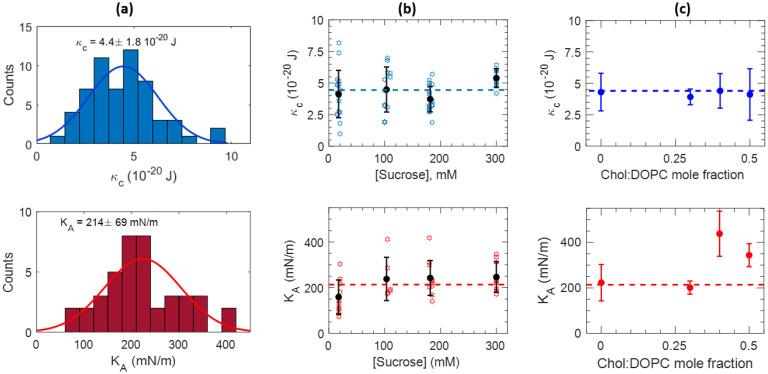 https://cdn.ncbi.nlm.nih.gov/pmc/blobs/cf2b/11184969/849c08ce653a/ABPID9-000008-026122_1-g003.jpg