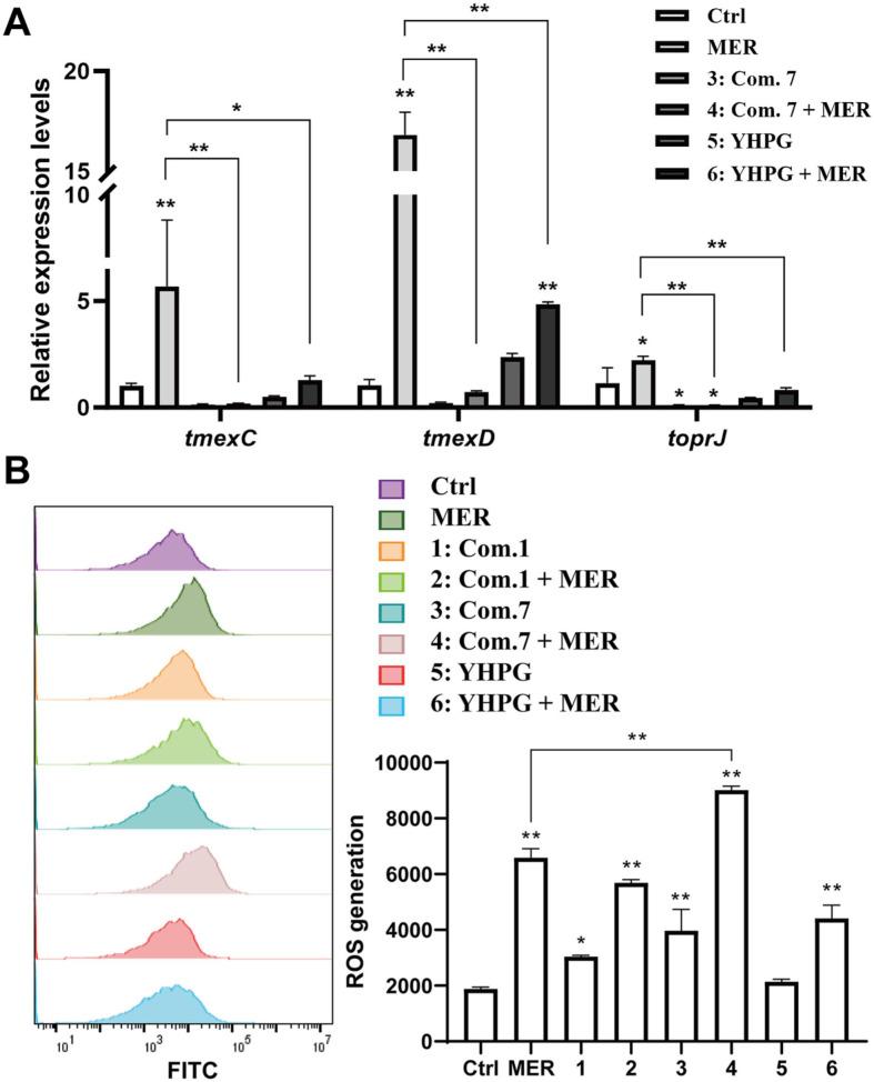 https://cdn.ncbi.nlm.nih.gov/pmc/blobs/cf2b/12099628/21fc5c672044/jmb-35-e2412014-f3.jpg