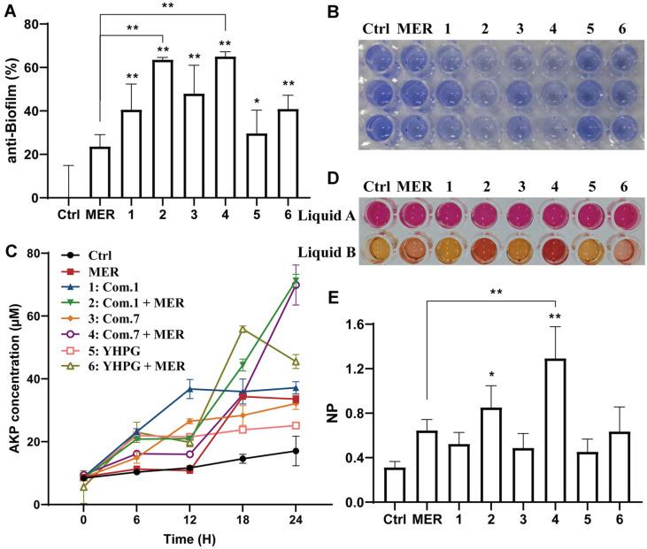 https://cdn.ncbi.nlm.nih.gov/pmc/blobs/cf2b/12099628/f3e33d7d965b/jmb-35-e2412014-f4.jpg
