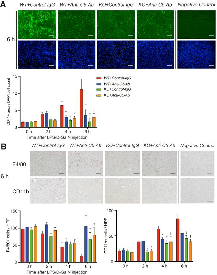 https://cdn.ncbi.nlm.nih.gov/pmc/blobs/cf2c/8022253/13056d246176/gr3.jpg