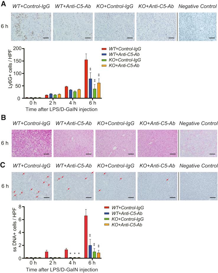 https://cdn.ncbi.nlm.nih.gov/pmc/blobs/cf2c/8022253/40c93cfd498e/gr4.jpg