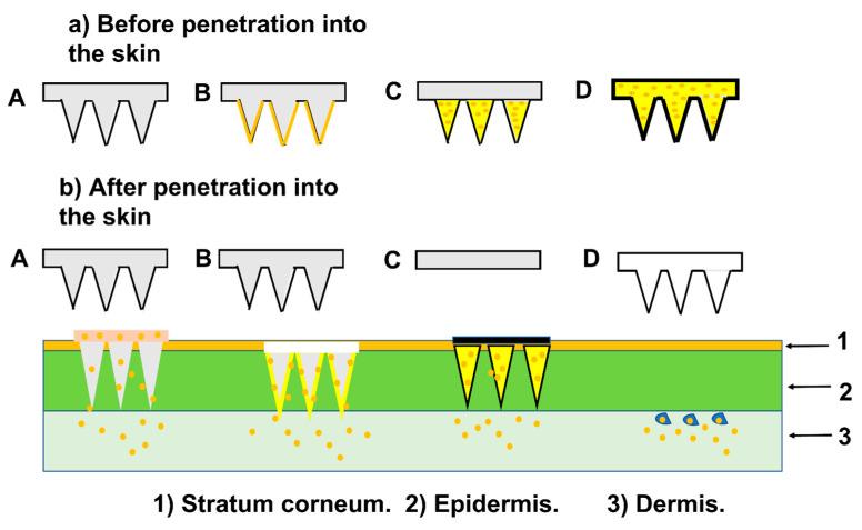 https://cdn.ncbi.nlm.nih.gov/pmc/blobs/cf2d/10674714/ed697113e644/pharmaceutics-15-02635-g006.jpg