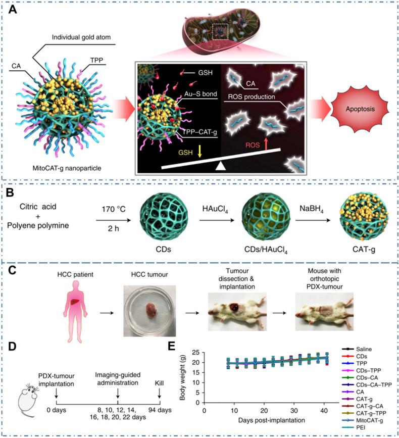 https://cdn.ncbi.nlm.nih.gov/pmc/blobs/cf2d/8965501/58bd37c9252f/thnov12p2860g012.jpg