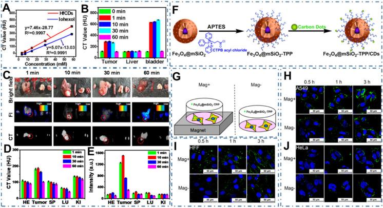 https://cdn.ncbi.nlm.nih.gov/pmc/blobs/cf2d/8965501/5a6968bf6d7d/thnov12p2860g004.jpg
