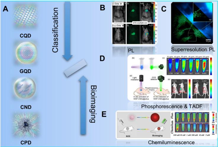 https://cdn.ncbi.nlm.nih.gov/pmc/blobs/cf2d/8965501/a2da98b4415b/thnov12p2860g003.jpg