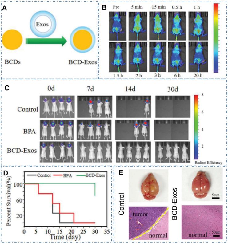 https://cdn.ncbi.nlm.nih.gov/pmc/blobs/cf2d/8965501/a61620e22eb7/thnov12p2860g020.jpg