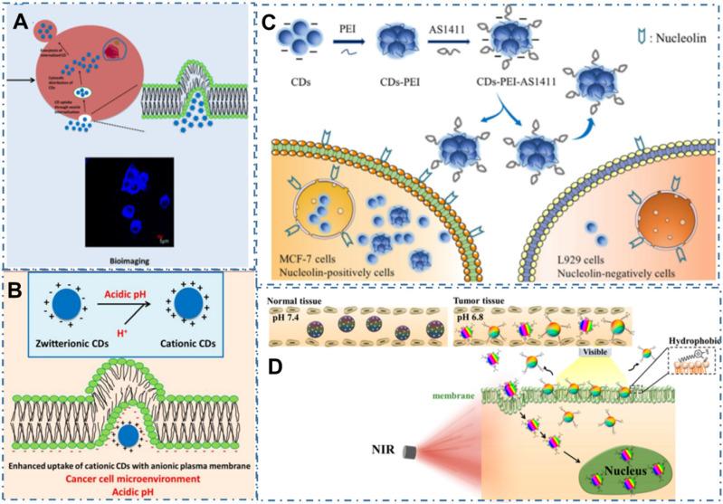 https://cdn.ncbi.nlm.nih.gov/pmc/blobs/cf2d/8965501/cb238a0c1d7c/thnov12p2860g005.jpg