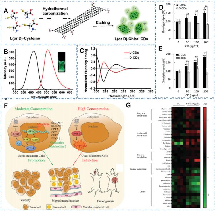 https://cdn.ncbi.nlm.nih.gov/pmc/blobs/cf2d/8965501/ee7799e31c1c/thnov12p2860g019.jpg